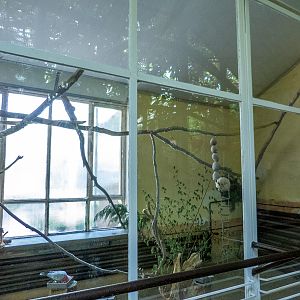 enclosures of bird house