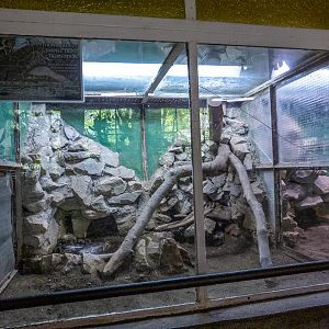 reptile enclosures