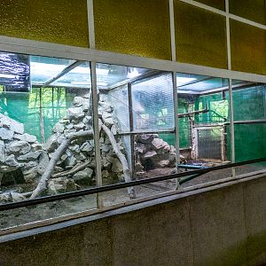 reptile enclosures