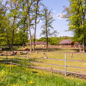 enclosure of farm animals
