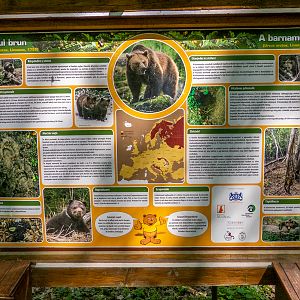 sign about brown bear