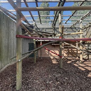 Dusky Langur Exhibit (Temp)