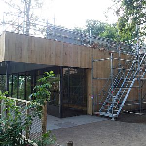 New Sulawesi crested macaque house (Not yet finished, but monkeys have moved in), 2023-07-26