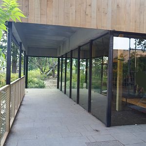 New Sulawesi crested macaque house and viewing area (Not yet finished, but monkeys have moved in), 2023-07-26