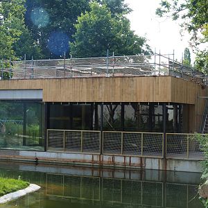 New Sulawesi crested macaque house (Not yet finished, but monkeys have moved in), 2023-07-26