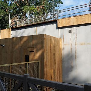 New Sulawesi crested macaque house (Not yet finished, but monkeys have moved in) - Keeper access, 2023-07-26