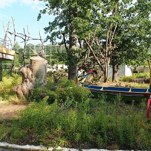 Sulawesi crested macaque island, 2023-07-26