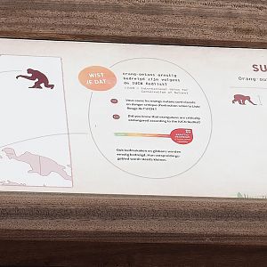 New primates range map and Sumatran orangutan signage, 2023-07-26