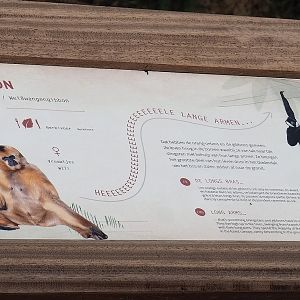 New White-cheeked gibbon signage, 2023-07-26