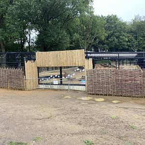 Bear enclosure whipsnade - glass window