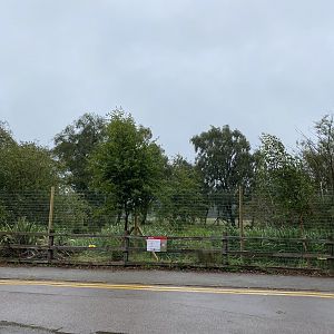 Blue crane and white stork enclosure