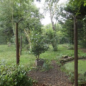 Maned wolf enclosure