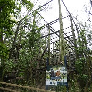 Javan langur enclosure