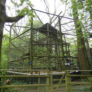 Javan langur enclosure