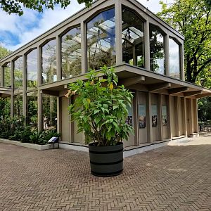 Red-cheeked gibbon House