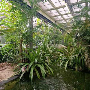 False gharial exhibit