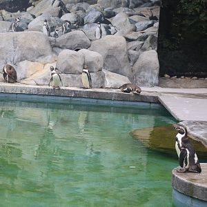 Humboldt Coast Exhibit