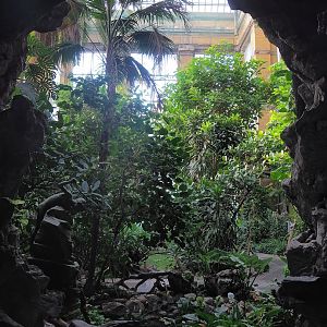 View in Winter Garden/Seasonal butterfly house, 2022-08-16