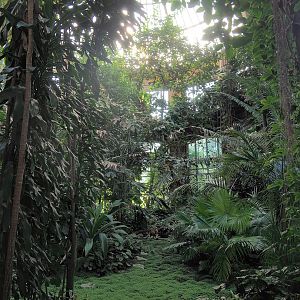 View in Winter Garden/Seasonal butterfly house, 2022-08-16