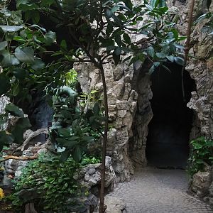 Winter Garden/Seasonal butterfly house - Cave with access, 2022-08-16