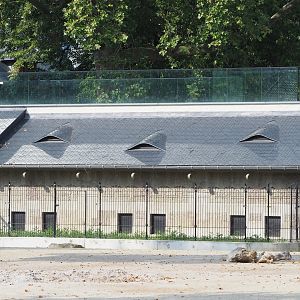 Pig house, 2022-08-16