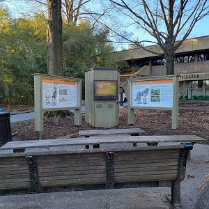 Smithsonian 2/22 - Movie about cheetahs