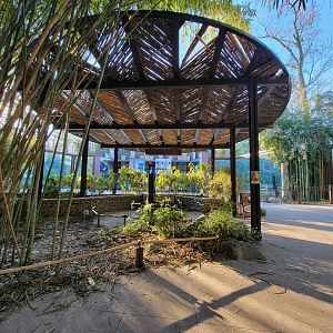 Smithsonian 2/22 - Asia Trail