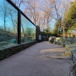 Smithsonian 2/22 - Asia Trail, sloth bear exhibit