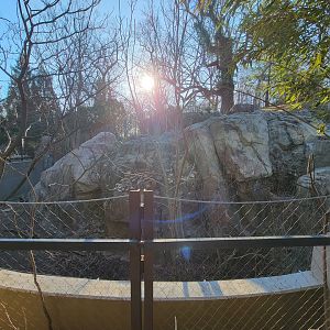 Smithsonian 2/22 - Asia Trail, left sloth bear yard