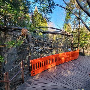 Smithsonian 2/22 - Asia Trail, clouded leopards