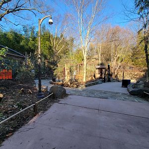 Smithsonian 2/22 - Asia Trail, Path in front of clouded leopards, do the left little loop for fishing cats
