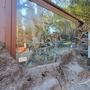 Smithsonian 2/22 - Asia Trail, fishing cats and more glare