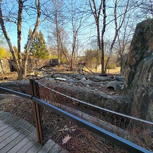 Smithsonian 2/22 - Asia Trail, Asian small-clawed otters