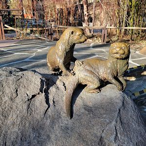 Smithsonian 2/22 - Asia Trail, Asian small-clawed otters, statue