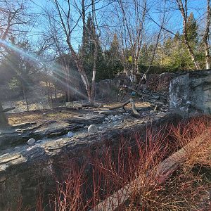 Smithsonian 2/22 - Asia Trail, Asian small-clawed otters