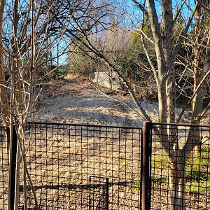 Smithsonian 2/22 - Asia Trail, wild area