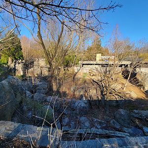 Smithsonian 2/22 - Asia Trail, giant pandas, far left yard