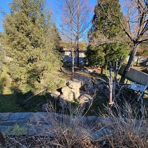 Smithsonian 2/22 - Asia Trail, giant panda yard