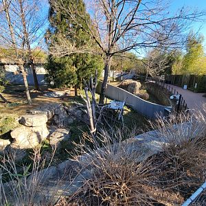 Smithsonian 2/22 - Asia Trail, giant panda yard