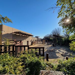 Smithsonian 2/22 - Asia Trail, Asian elephants from above