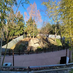 Smithsonian 2/22 - Asia Trail, giant panda right-most yard
