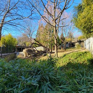 Smithsonian 2/22 - Asia Trail, giant panda right-most yard