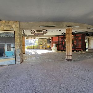 Smithsonian 2/22 - Asia Trail, giant panda pavilion