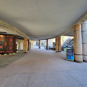 Smithsonian 2/22 - Asia Trail, giant panda pavilion