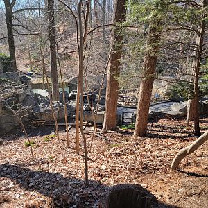 Smithsonian 2/22 - America Trail, from above