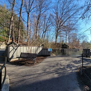 Smithsonian 2/22 - America Trail, North American river otters