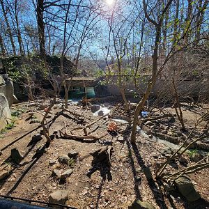 Smithsonian 2/22 - America Trail, North American river otters
