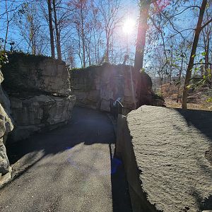 Smithsonian 2/22 - America Trail, path above/behind otters and beaver