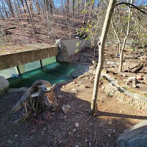Smithsonian 2/22 - America Trail, North American river otters from above