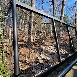 Smithsonian 2/22 - America Trail, ravens